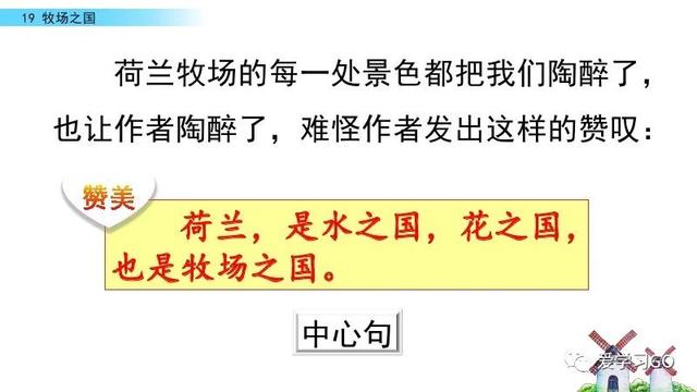 荷兰为什么被称为花之国（部编版语文五年级下册第19课《牧场之国》知识要点+图文讲解）