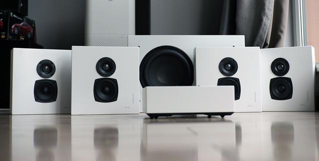 dls是什么意思，Flatmini