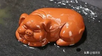 金蟾怎么摆放招财，嘴里含钱的金蟾怎么摆放招财（快看看怎么正确摆放吧）