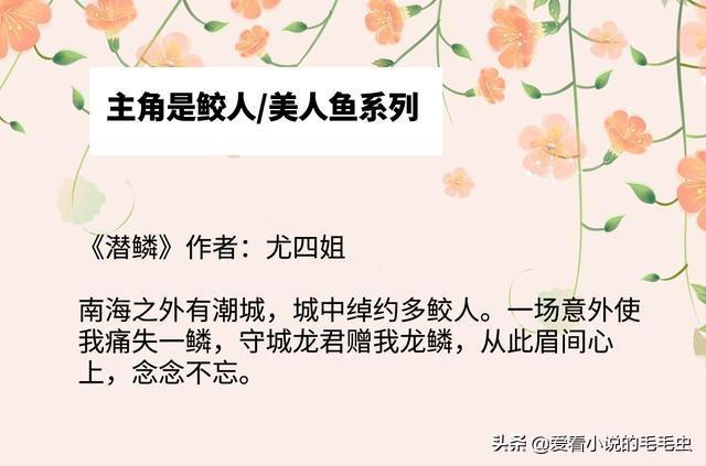 那片星空那片海小说(那片星空那片海小说下载)