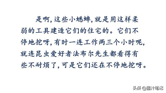 蟋蟀的住宅指的是什么，蟋蟀的住宅 是指什么（第三单元《蟋蟀的住宅》课文讲析）