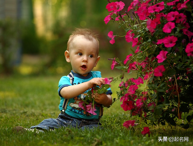 三点水者念什么意思，三点水 者 念什么（宝宝起名：大气简洁的男孩名字）