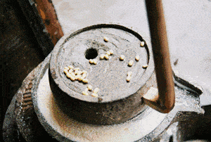 黄豆功效与作用吃法，吃黄豆功效与作用点（护心、抗饿、…大豆竟然有这么多功效）