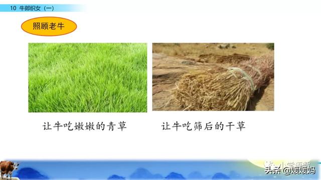 恋恋不舍的意思，恋恋不舍的意思是什么（部编版五级年语文上册第10课《牛郎织女）