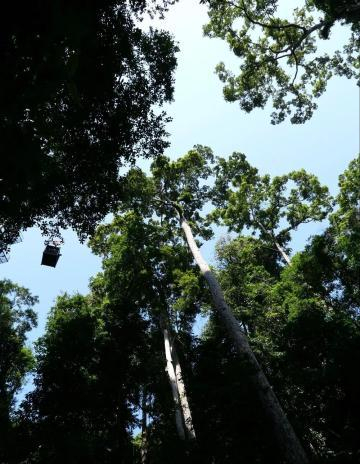 飞库（蛙也能飞）