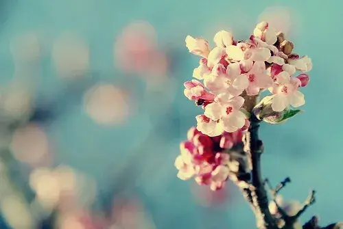 现世是什么意思，无限流是什么意思（，“劫”究竟是什么，能否躲得过）