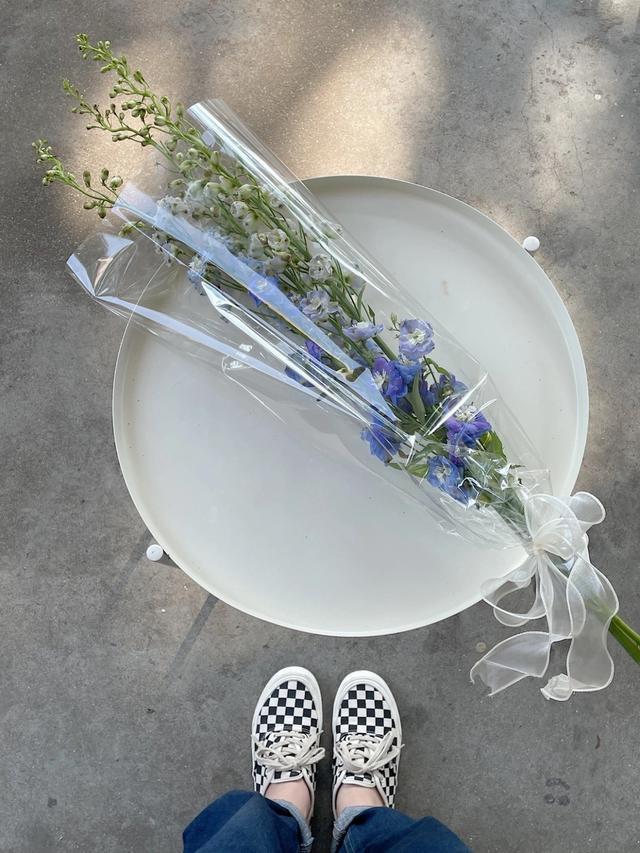 陶白白说巨蟹座文案，陶白白的白羊座文案（“关于陶白白说的星座文案”）