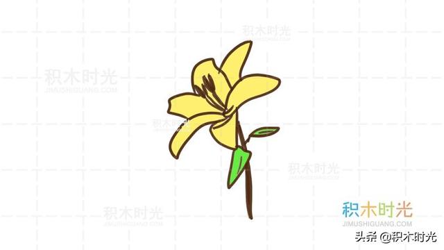 百合花的简笔画，如何画漂亮的简笔百合花（百合花简笔画教程）