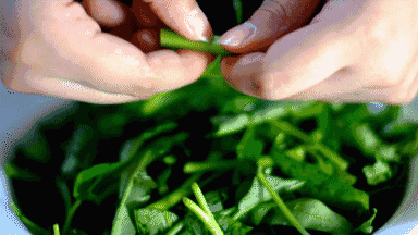 通菜又叫什么菜，通菜是什么样子的（空心菜又叫“抽筋菜”）