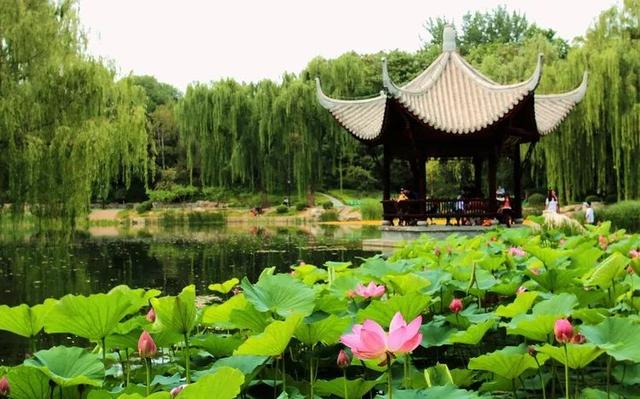 申奥是什么意思，申奥了是什么意思（你耳熟能详的这些北京地名儿）