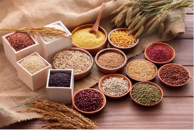 生麦芽的功效与作用，生麦芽的功效与作用及禁忌（这两个食疗方老人小孩都能用）