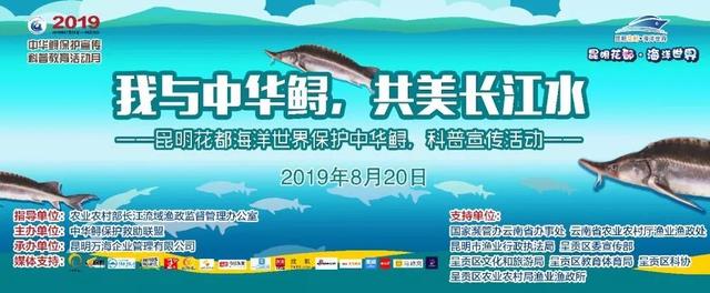 昆明这个地方海洋馆都有哪几个啊，昆明海洋馆在什么地方（科普保护1.4亿年的“水中国宝”）