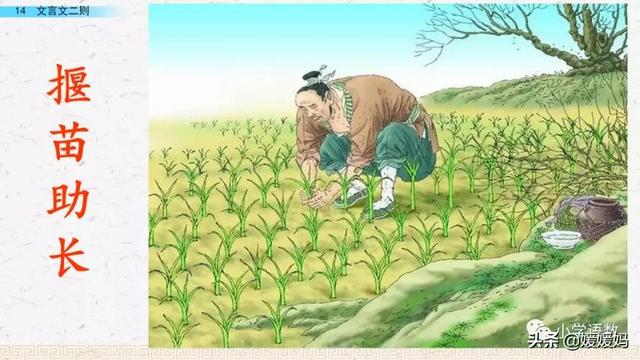 为是其智弗若与曰非然也的意思，为是其智弗若与曰非然也的意思是（六年级下册语文第14课《文言文二则》图文详解及同步练习）