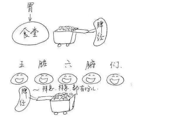 十二时辰养生对照表,子午流注十二时辰养生漫画图解 十二时辰养生对照表,子午流注十二时辰养生漫画图解