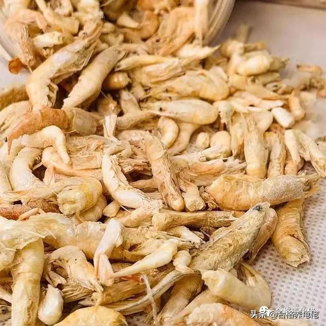 乌龟吃什么东西长得快，乌龟吃什么长得快（“干”类食物，喂龟该怎么选）