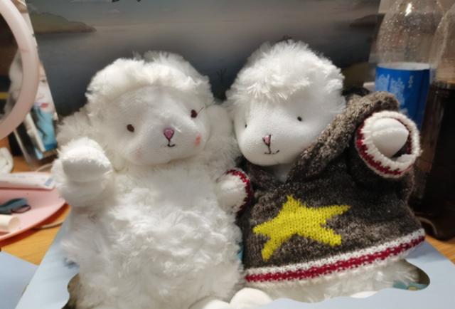 女朋友过生日送什么礼物好，女朋友生日送什么东西好（女朋友过生日送什么礼物好学生党）