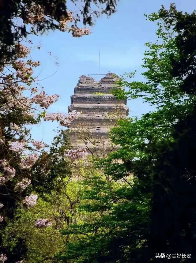 大雁塔是世界文化遗产吗，小雁塔是世界文化遗产吗（如何区分大雁塔和小雁塔）