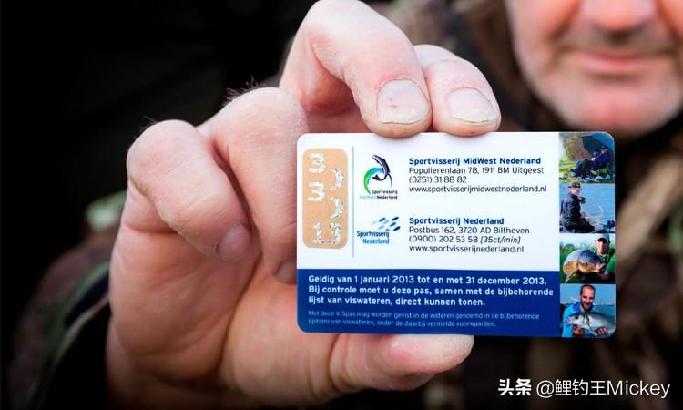 随身钓鱼王系统：鱼越钓越难，挑战极限成真正渔神