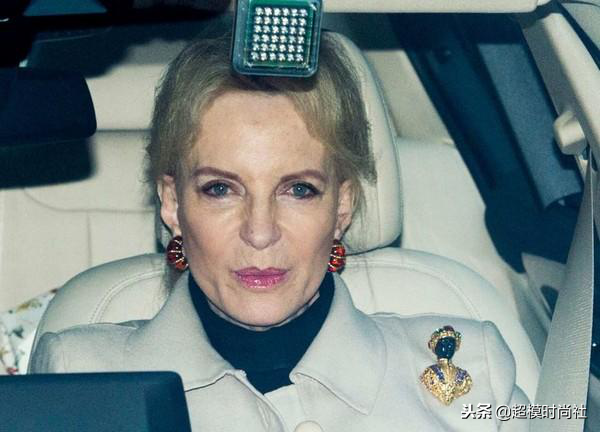 胸针象征着什么，胸针是什么样子的（王室成员为何对胸针如此痴迷）