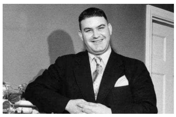 大鸟是什么意思，梦见大鸟的解释（世界上最不可思议的十大骗局）