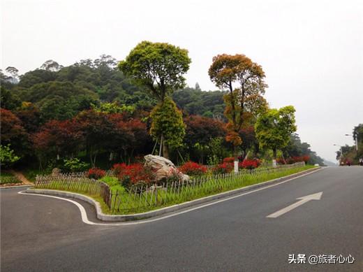 马鞍山的怪坡怎么形成的，怪坡是怎么形成的（中国有这么多“怪坡”）