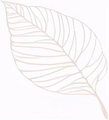 什么风细雨成语四字词语，什么风细雨（描写四季、时辰、人物的成语锦集）