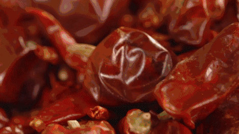 小米可以冷冻保存吗（不能直接放冰箱）