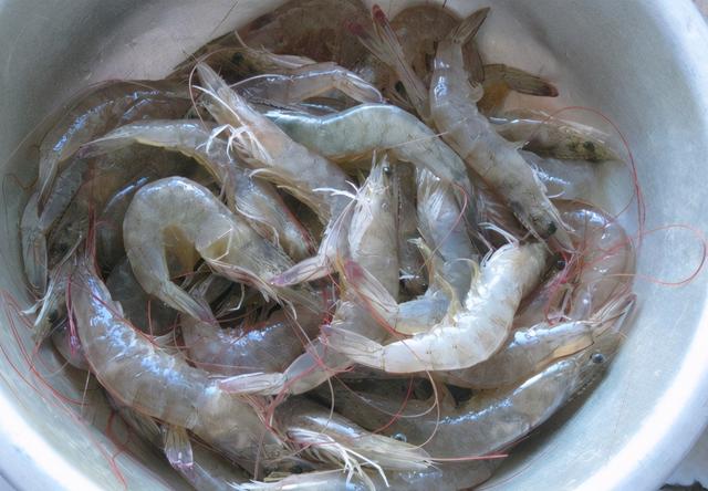 煮虾用热水还是冷水，煮虾用热水还是冷水需要放什么调料（煮虾时，冷水下锅还是开水下锅）