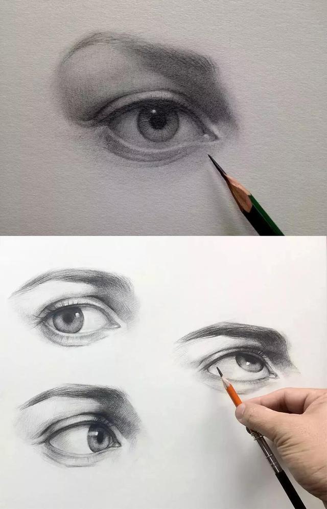 五官有哪些，人的五官准确是哪五官（动漫人物五官的详细画法）