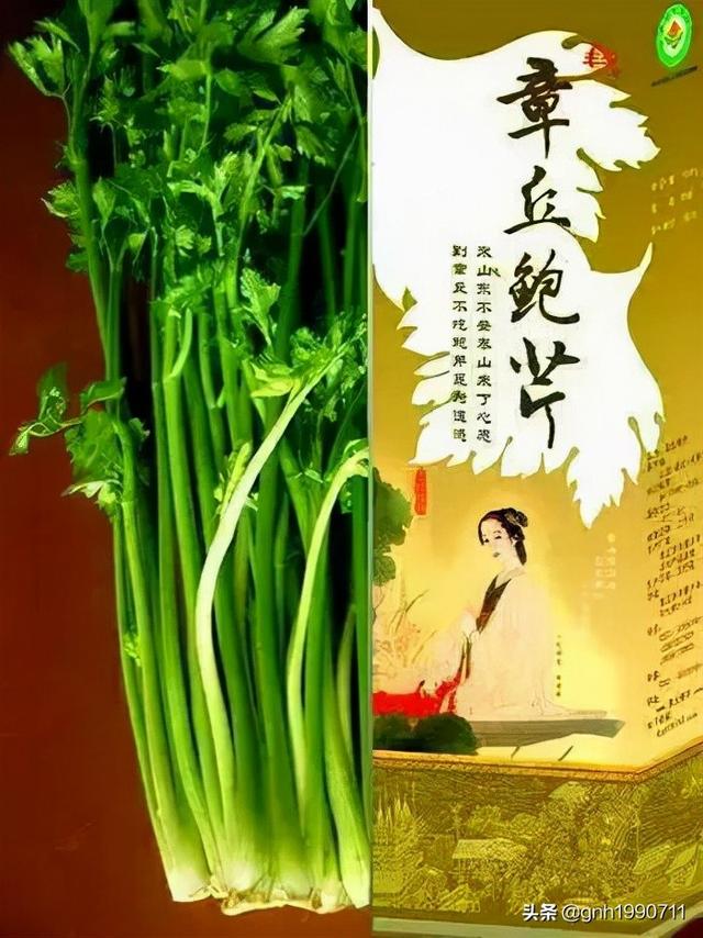 鲍芹和芹菜的区别，西芹和芹菜的区别两者有哪些区别（90年代曾经卖90元一斤的章丘鲍芹）