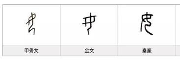 汉字娥组词语，娥组词语（《漢字的字元·人與鬼神》女）