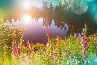 幼儿园教师最美格言，幼儿园教师师德师风总结（幼儿园丨幼师有爱）