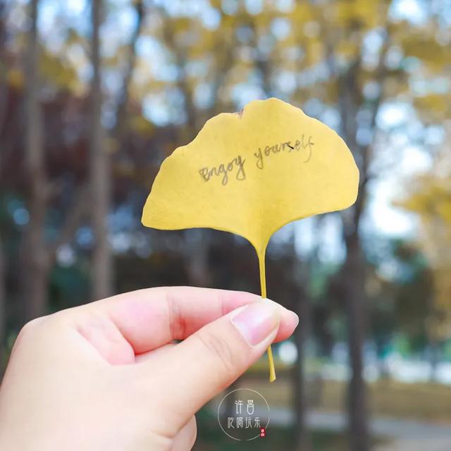 许昌旅游景点有哪些,许昌旅游景点有哪些地方(带你感受专属秋天的浪漫景色) 许昌旅游景点有哪些,许昌旅游景点有哪些地方(带你感受专属秋天的浪漫景色)