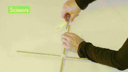 放风筝的三个基本步骤，放风筝的三个基本步骤过程（妈妈别插手让爸爸来）