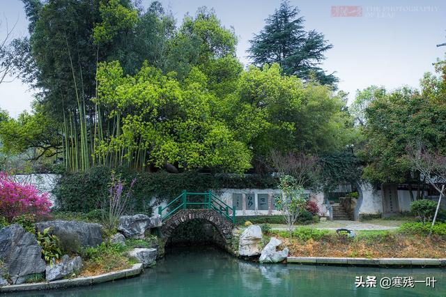 杭州名泉叫什么，杭州有哪一眼名泉（杭州有一口1200年的古泉）