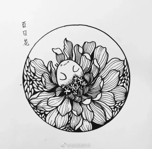 线描花卉画法图解，画完这一篇你的手再不是爪