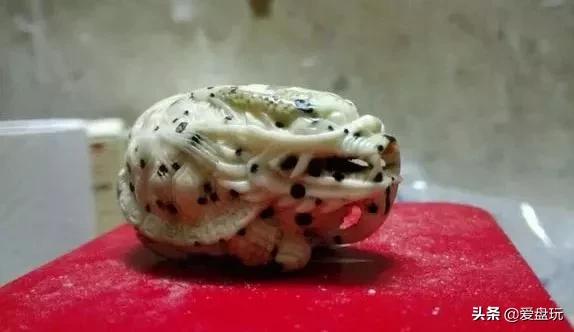 象牙果盘玩后效果图，象牙果是什么（这些小众配饰，太过瘾了）