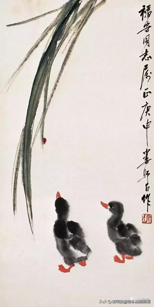 怎么画鸭子,今天星期二考试考个鸭蛋怎么画鸭子(娄师白教你画鸭子) 怎么画鸭子,今天星期二考试考个鸭蛋怎么画鸭子(娄师白教你画鸭子)
