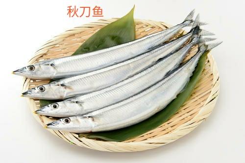 青花鱼有什么营养，宝宝补充DHA首选这5种鱼