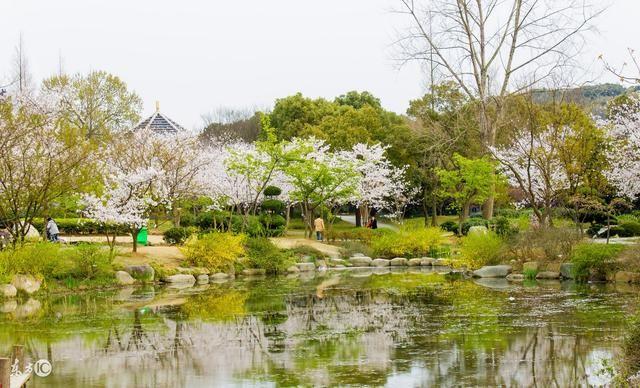 盛唐著名诗人王之涣，大诗人王之涣（却首首经典流传千年）