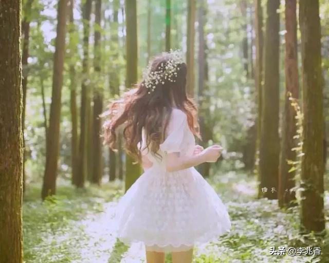 简短清新森系女生网名，简短清新森系女生网名英文（女生森系网名大全带头像）