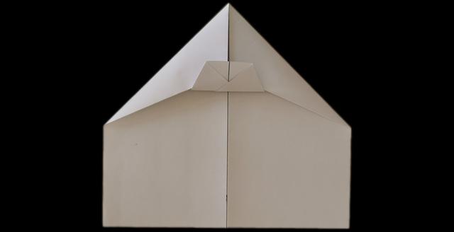 飞得最快的纸飞机，飞得最快最稳最远的纸飞机怎么折（飞得又稳又远的纸飞机——苏珊纸飞机简化版）