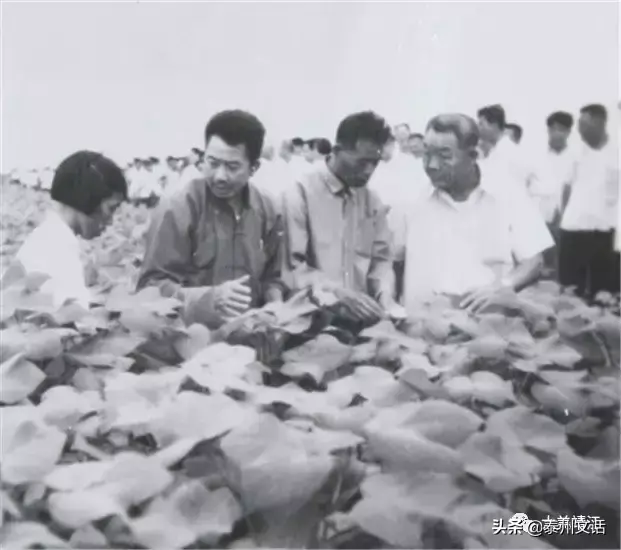 靖江汽车站(靖江拼车群)