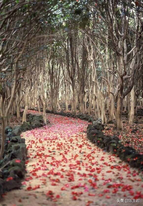 内蒙古人所说的风季是哪个季节，蒙古人的风季是什么季节（中国历史地理常识大全）