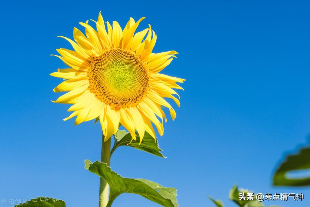 梦见在学校迷路（肝虚寒的人该直的时候直不起）