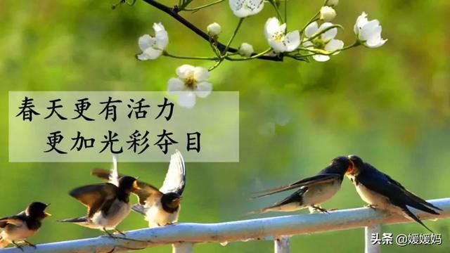 我一生中的重要抉择生字词拼音，登时的拼音（登时的拼音与意思）