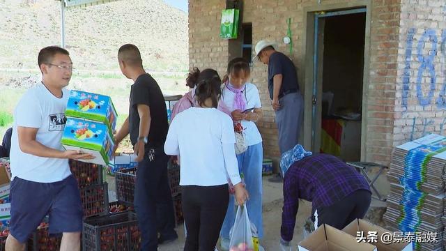 油桃含糖量高吗，油桃含糖量高吗（油桃“甜蜜”上市，等你来尝鲜）