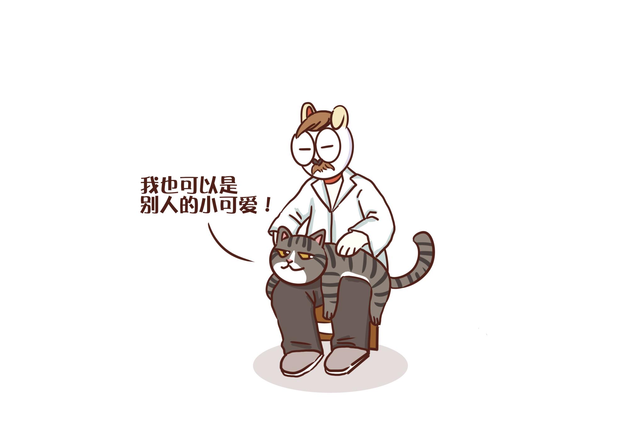 狸花猫多少钱 狸花猫千万不能养为什么