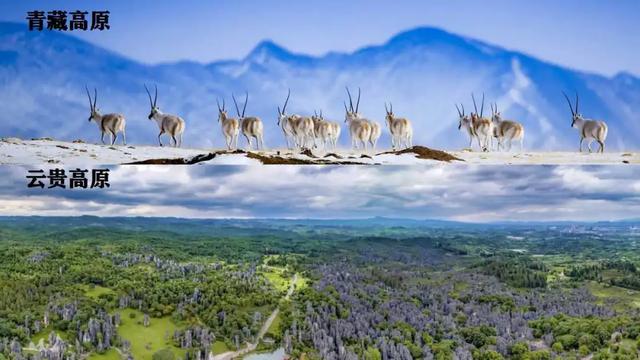 中国七大地理分区，中国七大地理分区是什么（图解中国36条地理分界线）