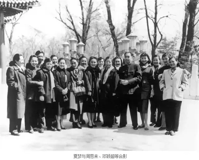 夏梦：金庸一生的梦中情人，很多 星运毛神(关于星运毛神的简介)